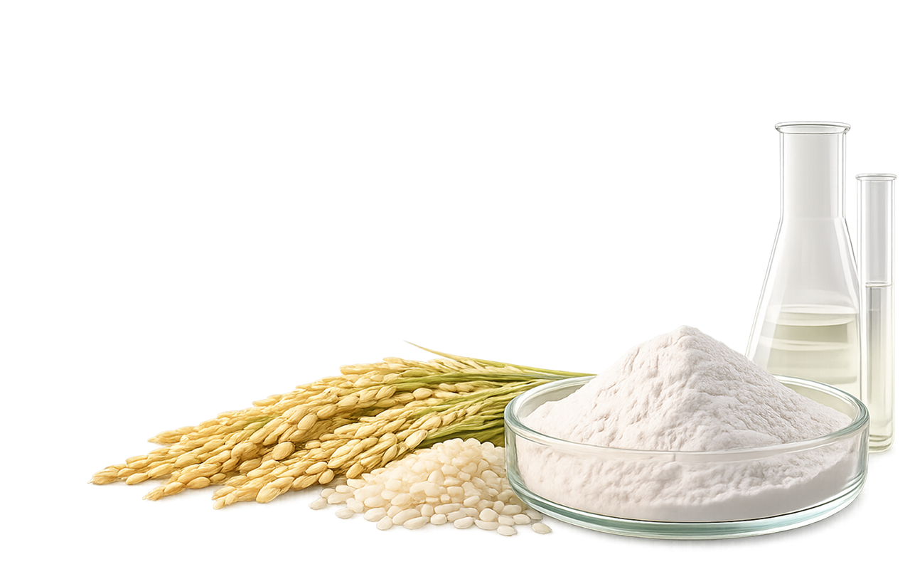 Rice-Derived Ingredients