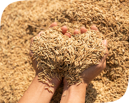 Ultra Fine Granules