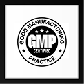 GMP (Good Manufacturing Processes)