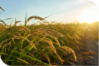 Sustainable Supply Chains in 2026