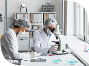 Rice-Derived Expertise